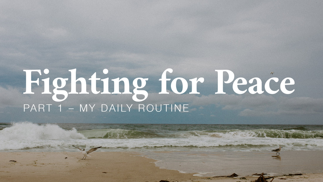 Fighting for Peace: My Daily Routine