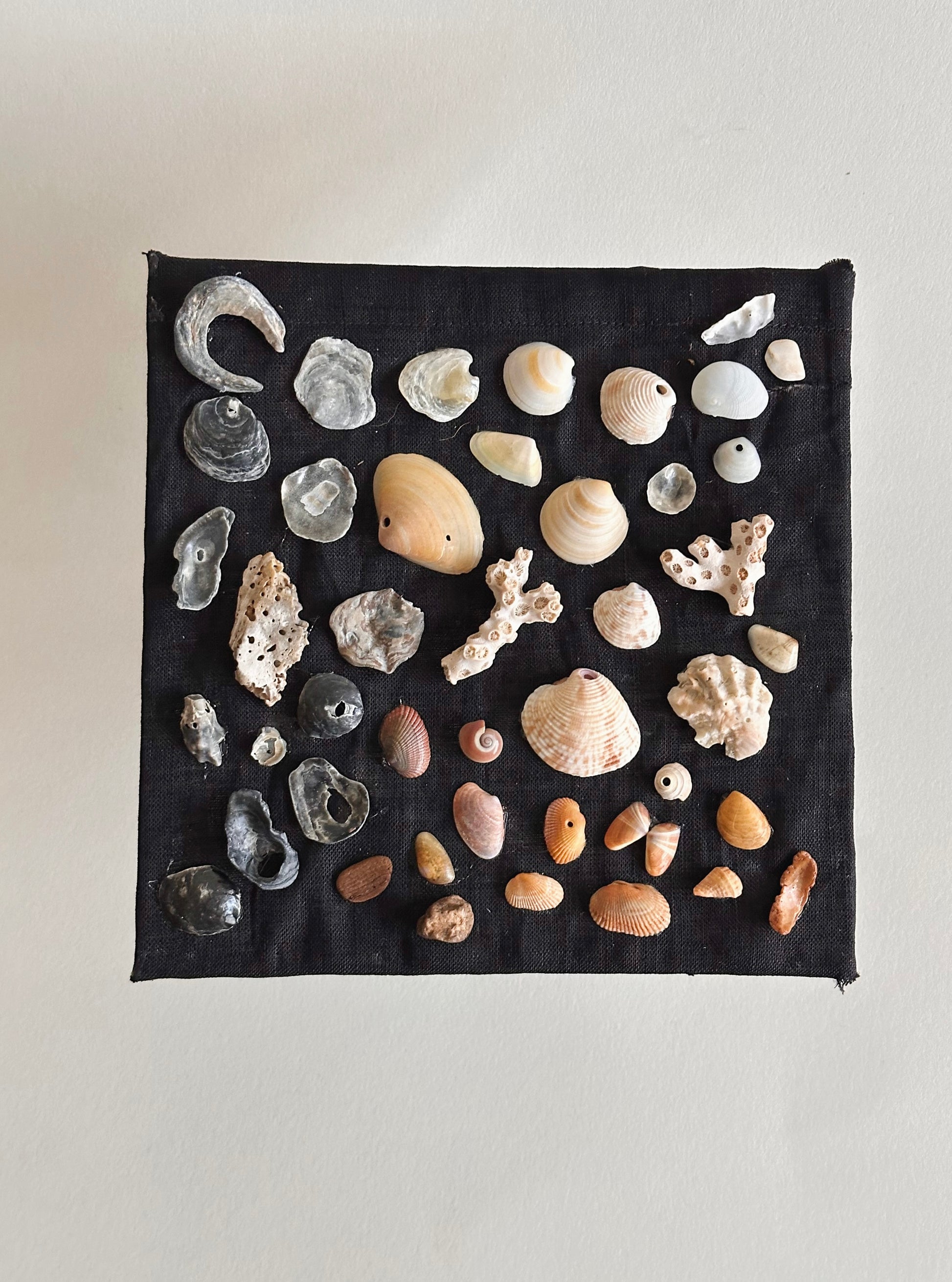 Shell Art 4